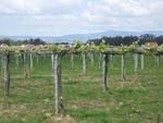 Rias Baixas